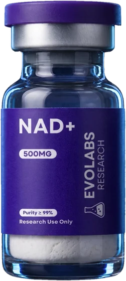 NAD+ 500mg research vial